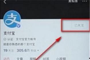 头条自动取消关注了吗,你的关注名单为何会“瘦身”？